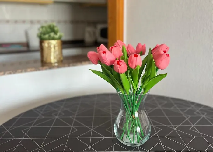 Sea Viev La Mata Torrevieja